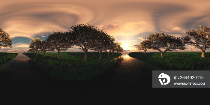 Blooming cherries over the canal with water at sunset, HDRI, environment map , Round panorama, spherical panorama, equidistant projection, panorama 360