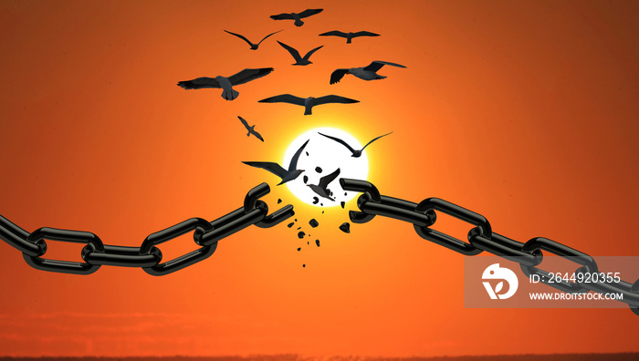 Birds Breaking Chains and Flying Away at sunset. Freedom Concept. Independence, autonomy and Freedom concepts