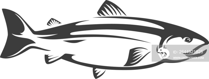 Chum, sockeye or pink salmon, isolated fish icon