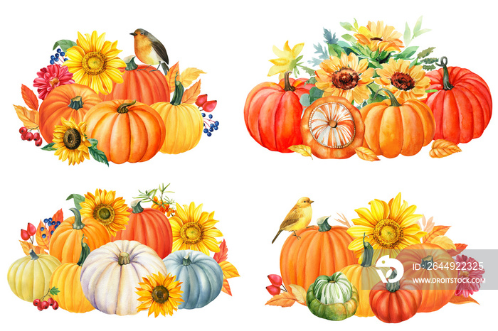 Pumpkins, bird and sunflowers on a white isolated background. Autumn watercolor composition. Greeting card.