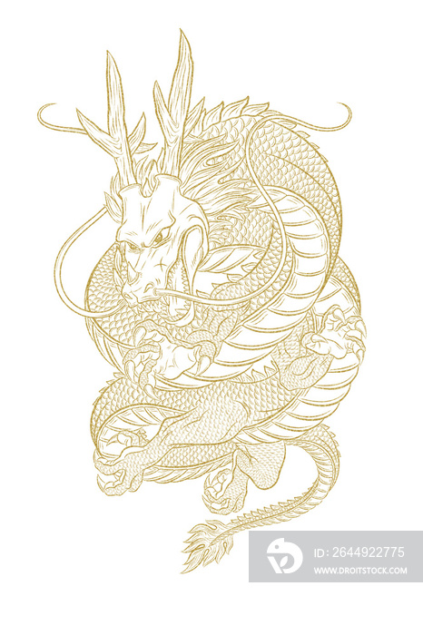 dragon illustration with golden color outline, no background, suitable for any element, template, tattoo, decoration, screen printing, sticker, backdrop, clip art