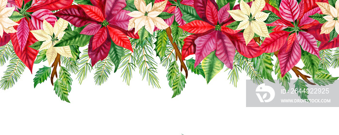 Red poinsettia and christmas tree branches seamless border. Hand drawn illustration for postcards and invitations for the new year. Endless holiday banner.