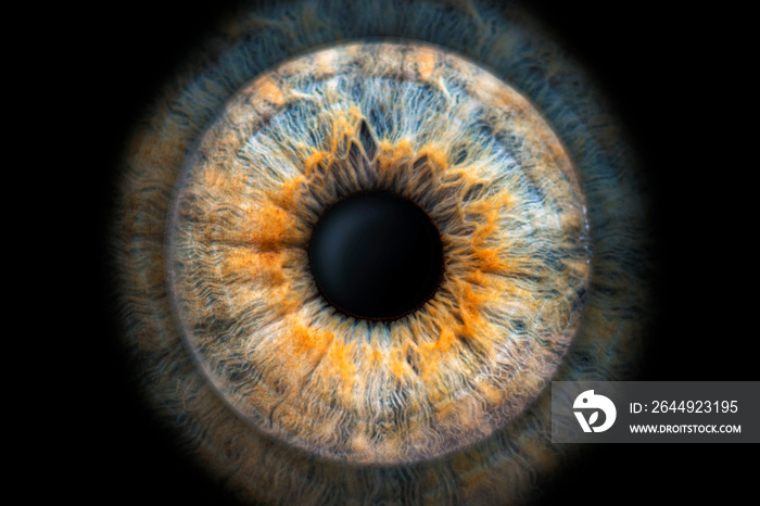 spectacular close-up (macro photo) of the iris of a two-colored eye, ideal for background or texture