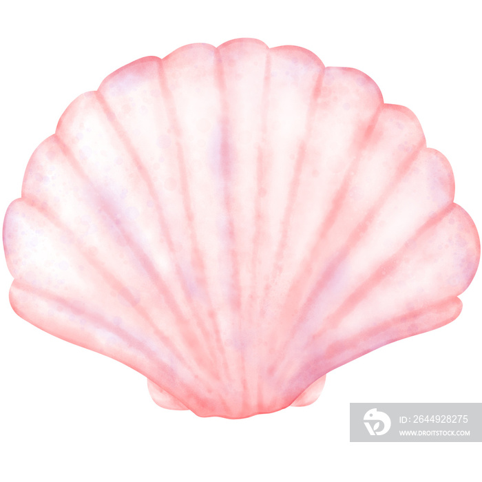 Cute Pearl Shell, Shell illustration, Pearl Shell, cute shell illustration, sea life