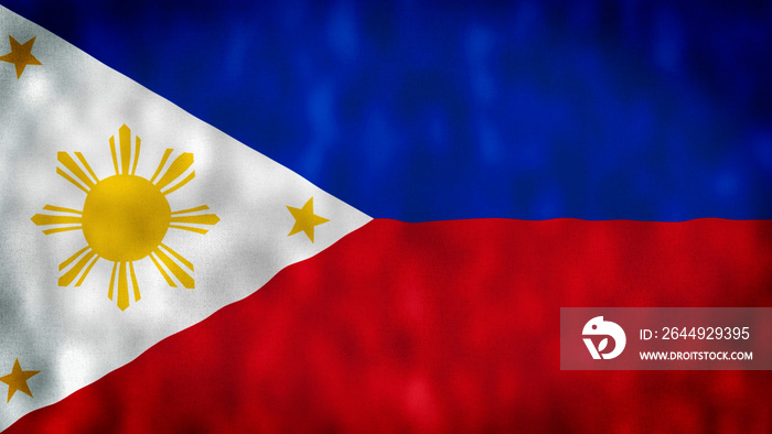 Flag of Philippines. philippine flag country symbol illustration.