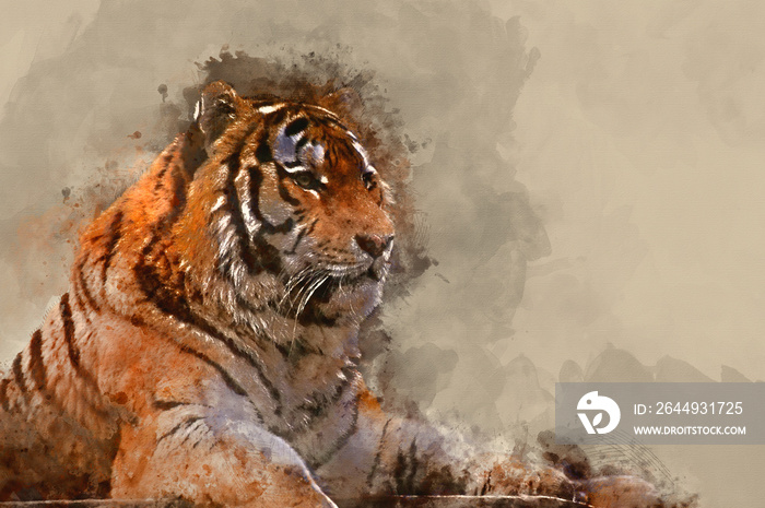 Watercolor painting of Stunning close up image of tiger relaxing on warm day