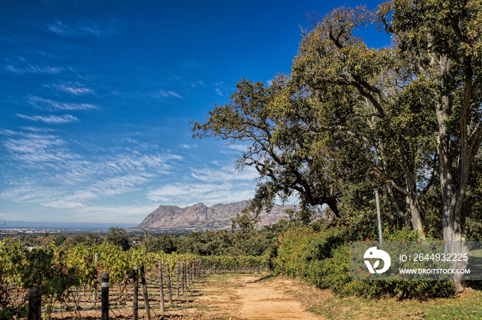 Südafrika, Constantia