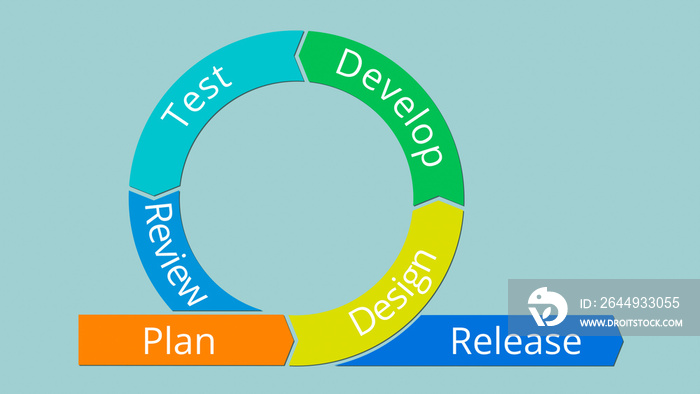 agile management concept