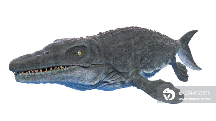 3d rendered illustration of a Mosasaurus