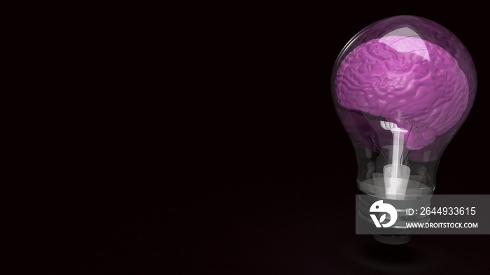 The lightbulb brain on black background  3d rendering