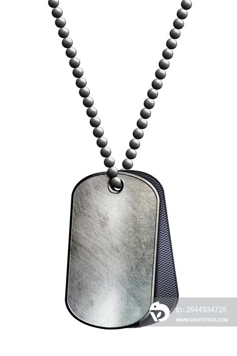 chrome metal tag and necklace.