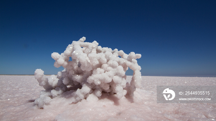 Lake Eyre salt lake,  South Australia