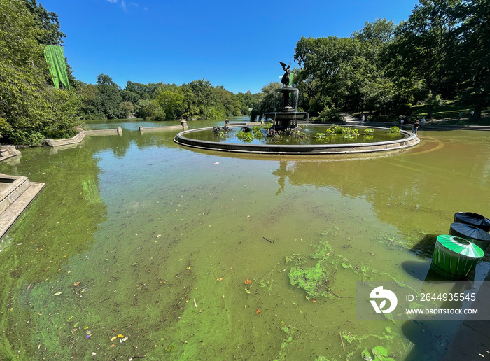 Hurricane Ida floods in Central Park. The Lake overflowed to flood the plaza around Bethesda Fountain.