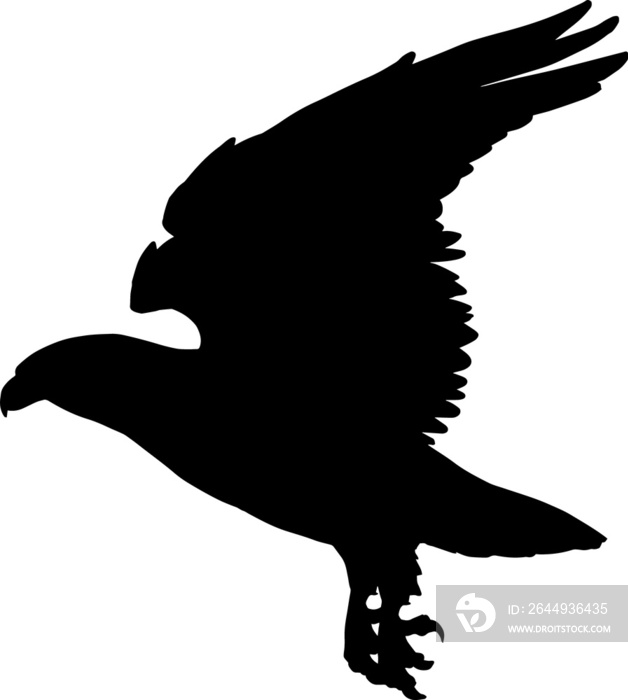 Eagle bird with wild spread wings isolated icon