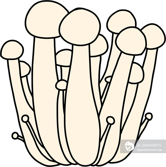 doodle freehand sketch drawing of beech mushroom vegetable.