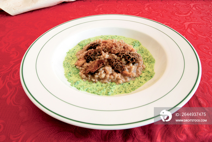 Orzotto with Spugnole,  porridge of barley with mushrooms