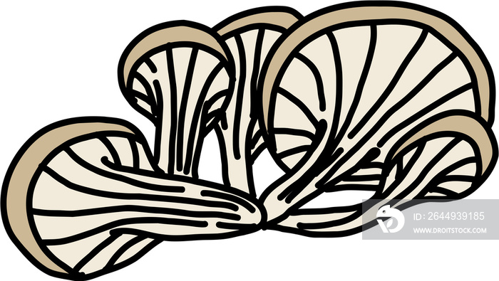 doodle freehand sketch drawing of oyster mushroom vegetable.