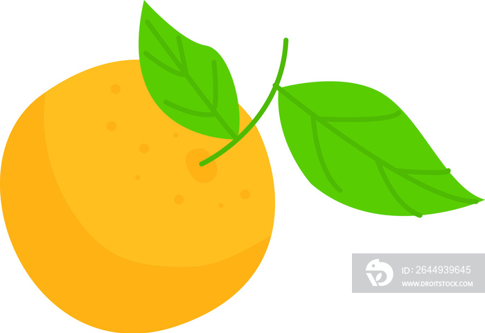 Orange Illustration