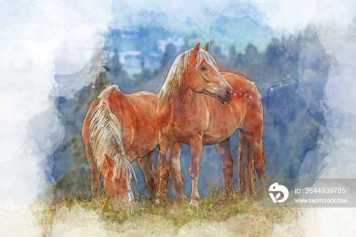 Watercolor painting of two haflinger horses grazing on a mountain pasture