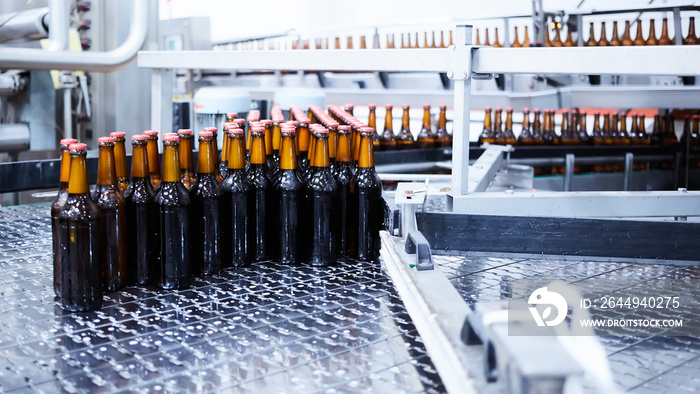 Beer bottles on the conveyor belt. Shallow dof. Selective focus.