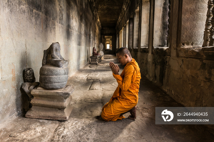 Young Buddhist monk praying in temple, Angkor Wat, Siem Reap, Cambodia