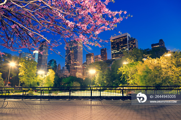 Midtown Manhattan and Central Park during spring