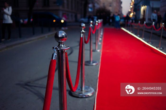 Red Carpet -  is traditionally used to mark the route taken by heads of state on ceremonial and formal occasions