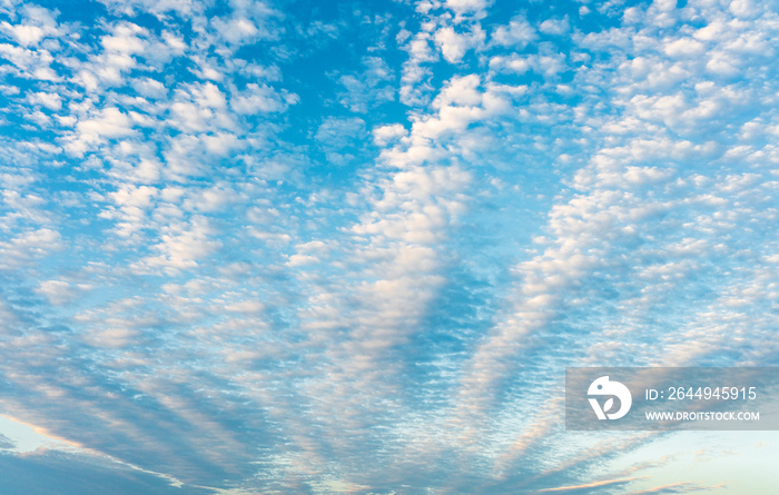 うろこ雲と青空【イメージ素材】