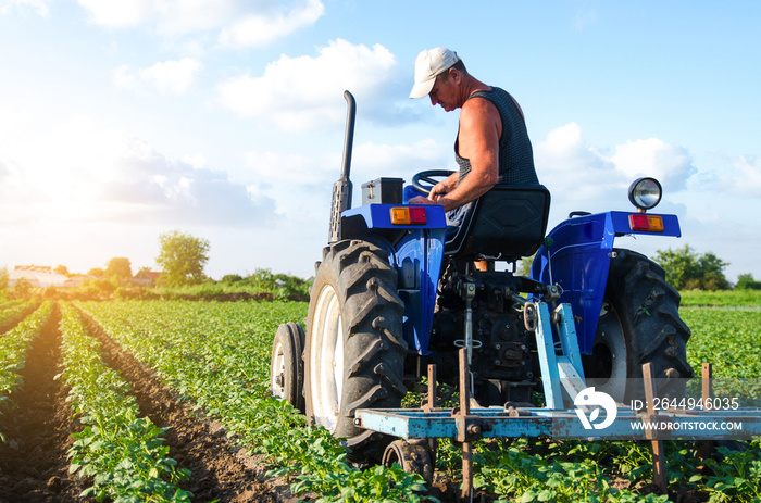 A farmer on a tractor works in the field. A farm worker tills the soil on a plantation. Farm machinery. Crop care. Plowing and loosening ground. Agroindustry and agribusiness. Farming landscape