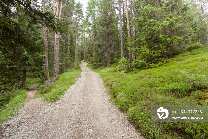 A single mountain path splits in two different directions.