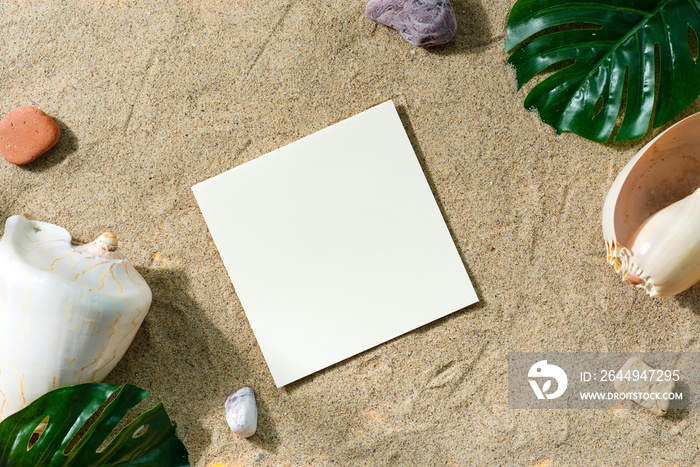 Greeting mockup card on a sand beach with shells and leaves.