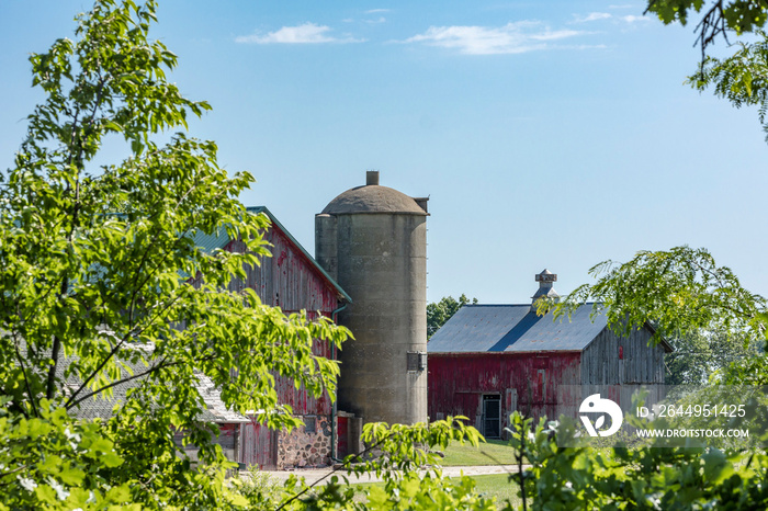 Old red barns and a concrete silo framed by trees with a blue sky in the summer.