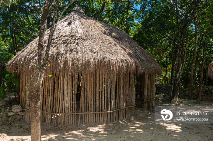 Traditional mayan hut in the mexican rainforest