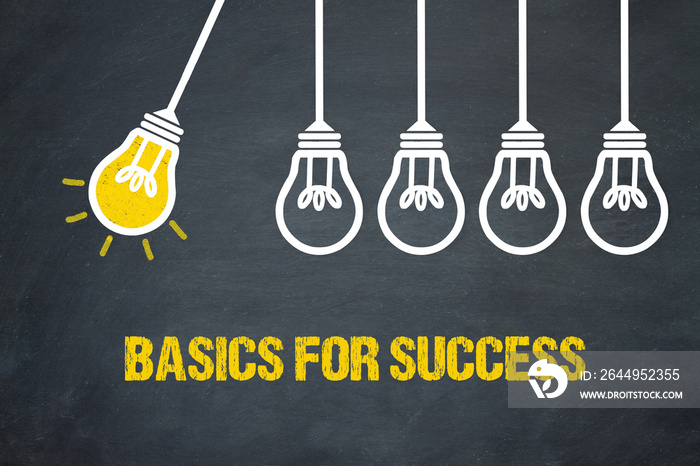 Basics for Success