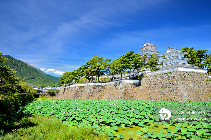 蓮池と島原城　長崎県島原市