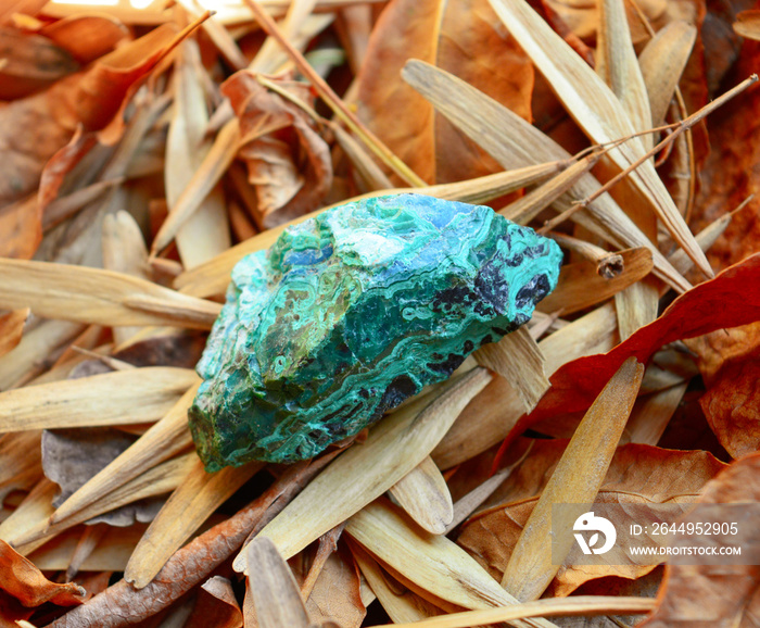 malachite stone on leafs background