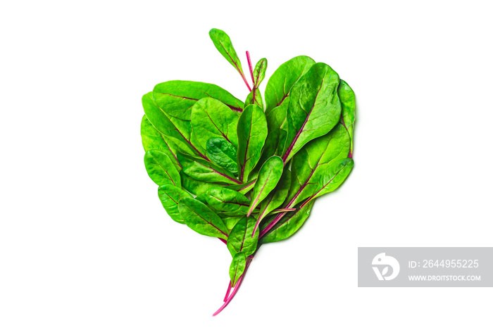 Beet baby green foliage isolated on white background. Mangold or red swiss chard shoots close up. Composition of beetroot salad leaves. Healthy food concept