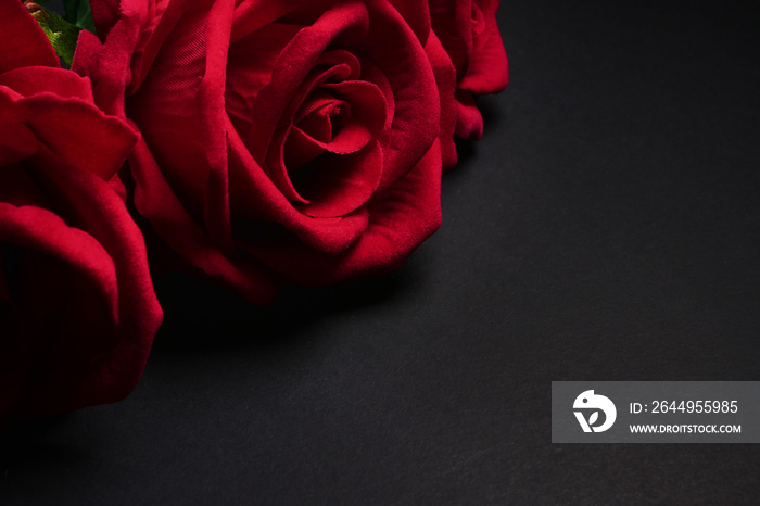 Close up of Red roses on black background. Free space for text