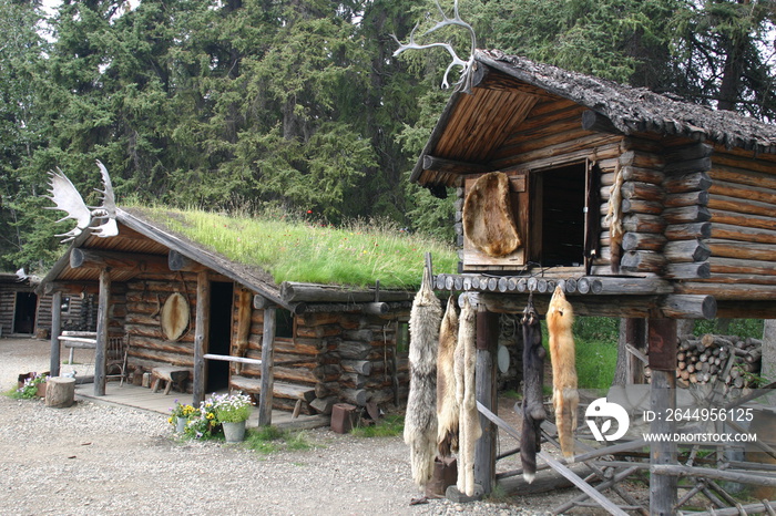 Athabaskan Village on the Chena River Tanana River Confluence Near Fairbanks with Fox Pelts Hanging from the Raised Storehouse