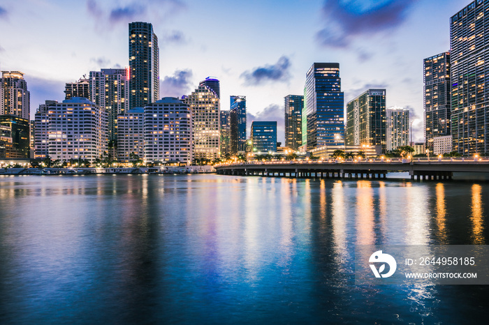 The Miami Skyline from Brickell