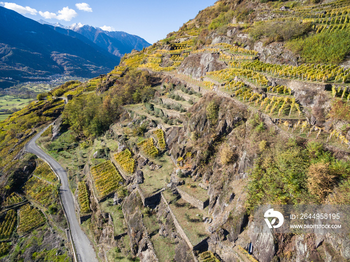 Autumn in Valtellina, vineyards and terracing