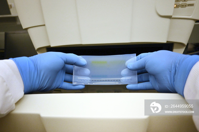 Front view of a scientist holding an electrophoresis gel