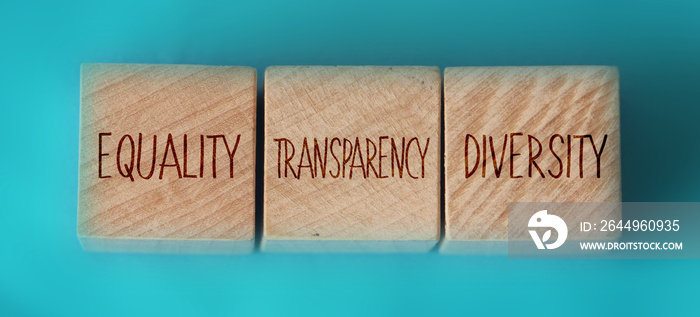 Equality transparency diversity words written on wooden cubes on aquamarine background. Equal rights social concept