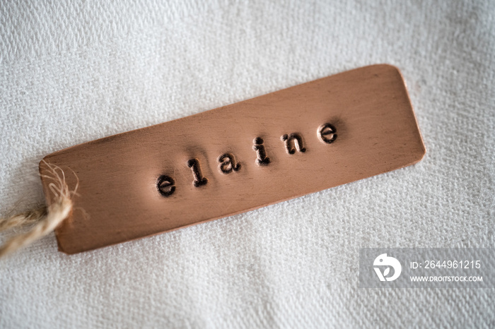 Elaine identity engraved name dog tag copper metal name plate badge. Shiny and clean stamped letters on retro trinket pendent.