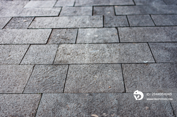 Wet cobblestone pavement of a restored sidewalk or path in an old town. Urban backdrop