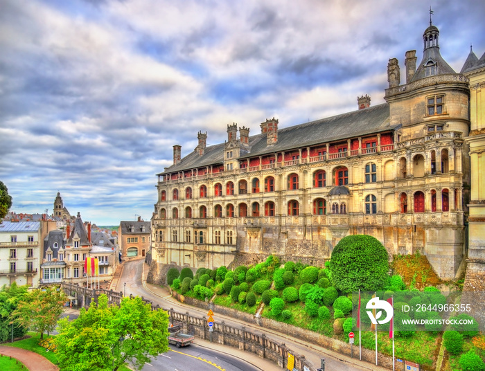 The Royal Castle of Blois in the Loire Valley, France