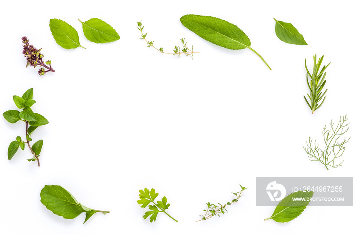 Various fresh herbs from the garden holy basil , basil flower ,r