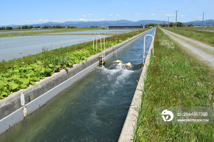 農業用水路 山形県庄内