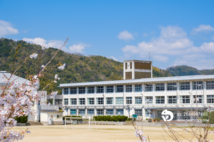 学校と桜の花　春　入学式　新学期