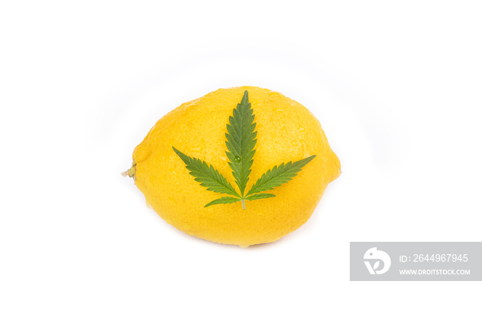 citrus terpenes yellow lemon and green cannabis leaf isolated on white background.